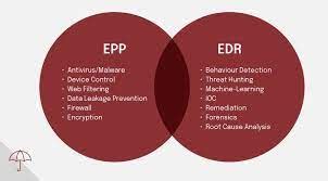 edr epp 違い: データ保護とセキュリティの観点から見た違い